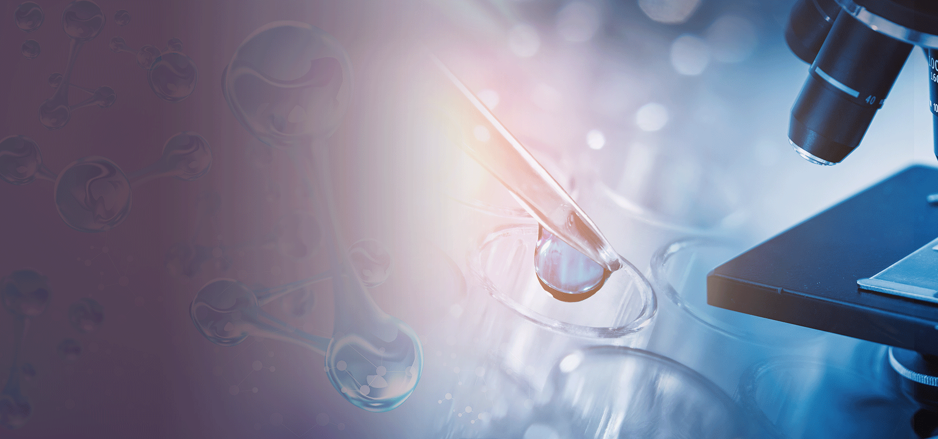 轮播1