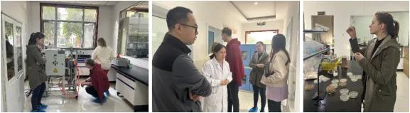 918搏天堂(中国区)官方网站