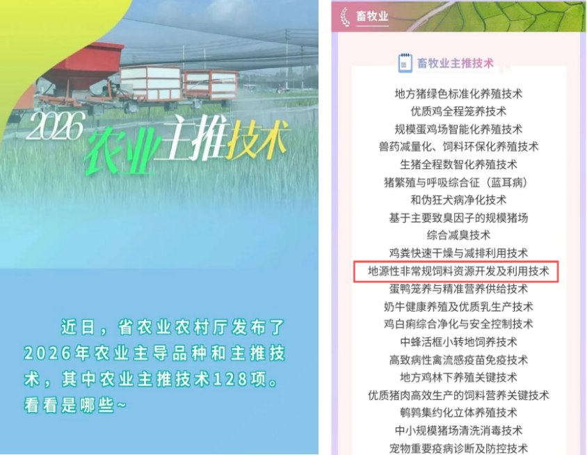 918搏天堂(中国区)官方网站